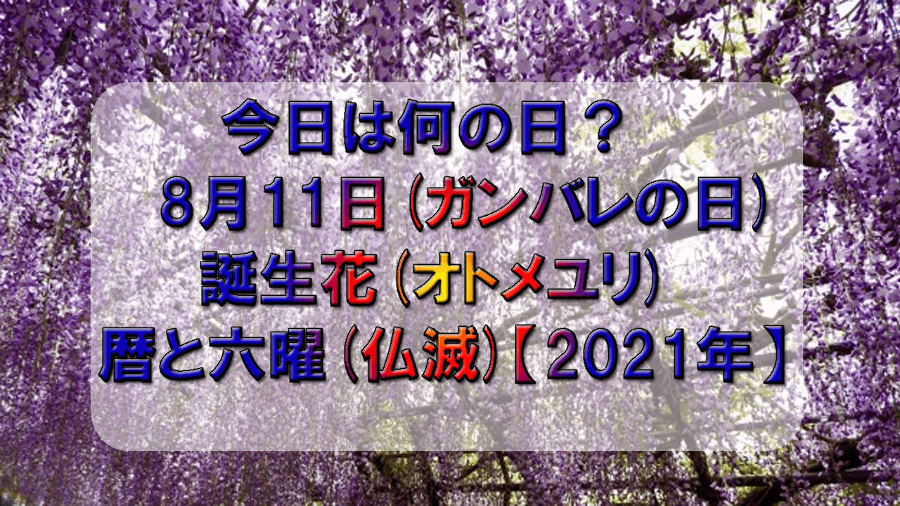 今日は何の日 8月11日 ガンバレの日 誕生花 オトメユリ 暦と六曜 仏滅 21年 こもれびトレンドニュース